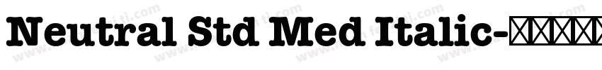 Neutral Std Med Italic字体转换